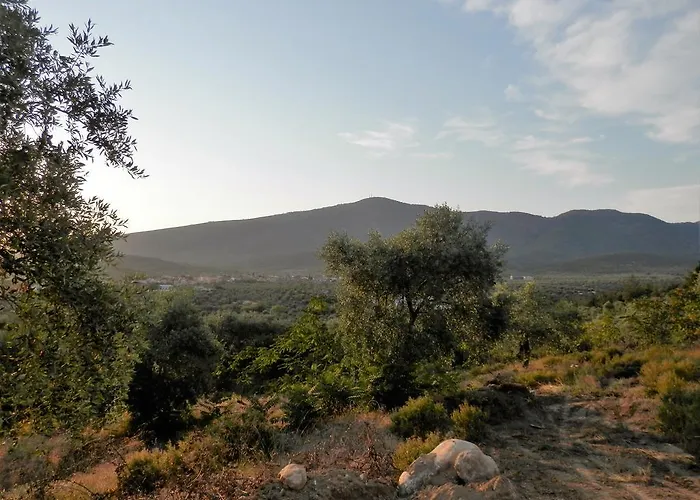 Thea Athos Apartamento